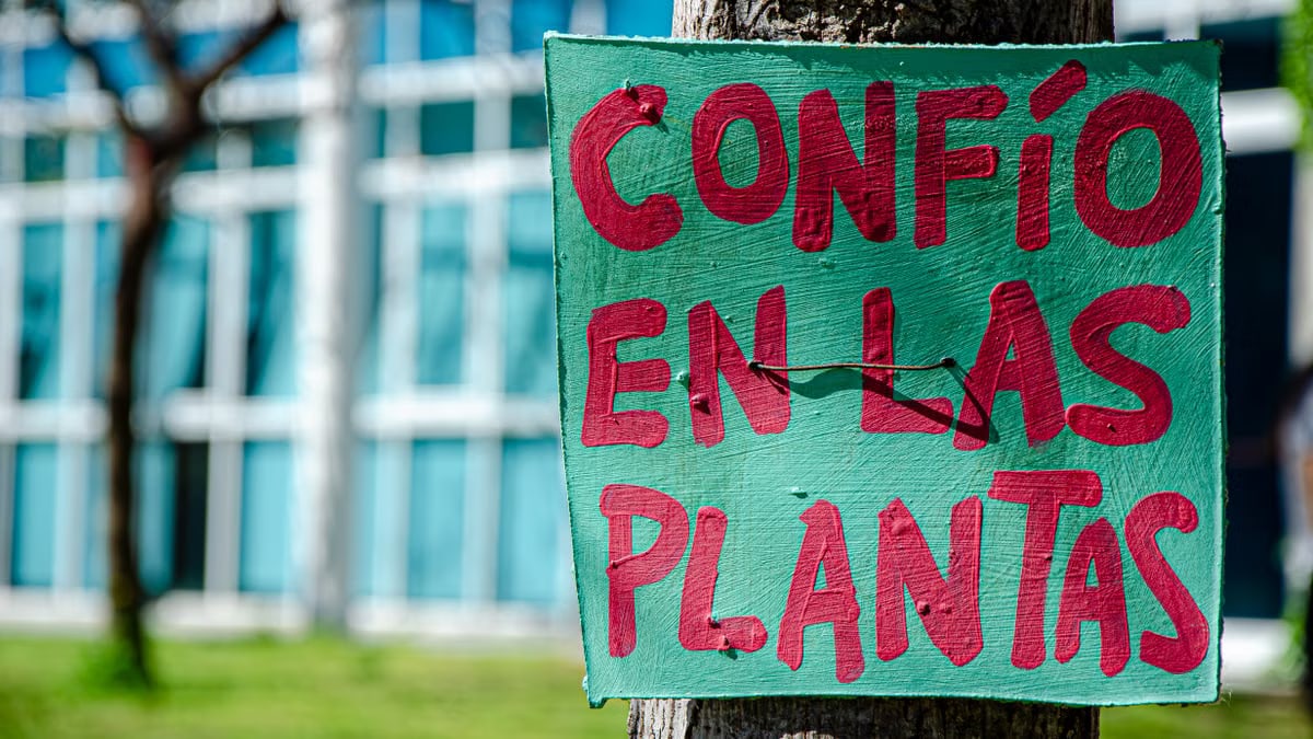 A colorful handmade sign on a tree expressing trust in plants, captured outdoors.